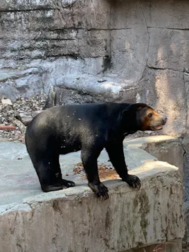 天王寺動物園に投稿された画像（2022/5/4）