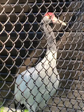 天王寺動物園に投稿された画像（2022/5/4）