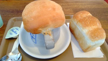 志賀高原マウンテンリゾートに投稿された画像（2022/5/4）