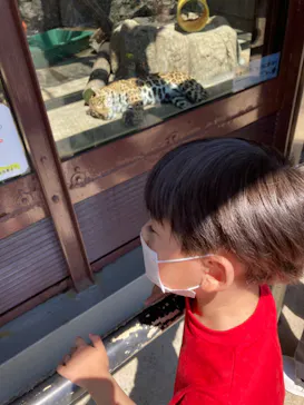 天王寺動物園に投稿された画像（2022/5/4）