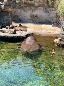 天王寺動物園に投稿された画像（2022/5/4）