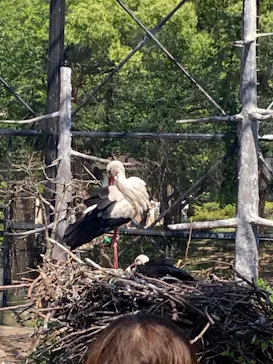 天王寺動物園に投稿された画像（2022/5/4）