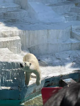 天王寺動物園に投稿された画像（2022/5/4）