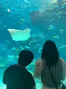 名古屋港水族館に投稿された画像（2022/5/4）