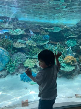 名古屋港水族館に投稿された画像（2022/5/4）