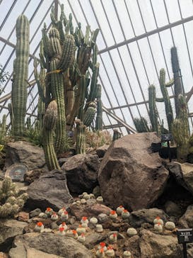 伊豆シャボテン動物公園に投稿された画像（2022/5/4）