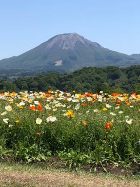 とっとり花回廊に投稿された画像（2022/5/4）