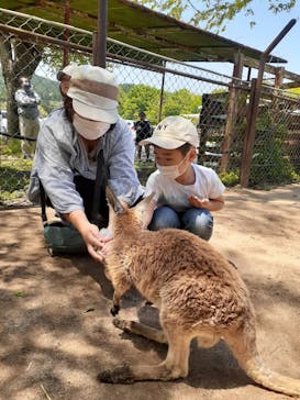 秋吉台自然動物公園 サファリランドに投稿された画像（2022/5/4）