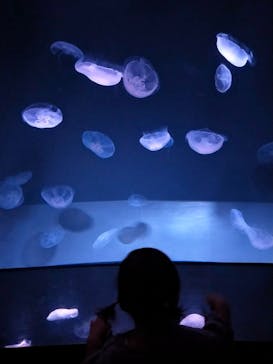 サンシャイン水族館に投稿された画像（2022/5/4）