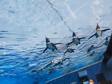 サンシャイン水族館に投稿された画像（2022/5/4）