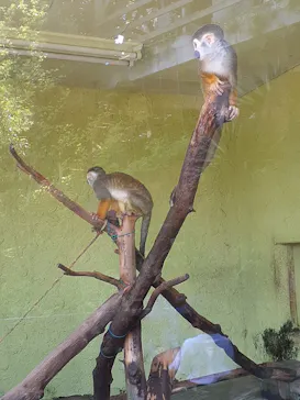 ひらかたパークに投稿された画像（2022/5/4）