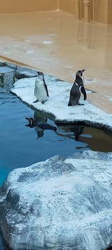 アクアワールド茨城県大洗水族館に投稿された画像（2022/5/4）