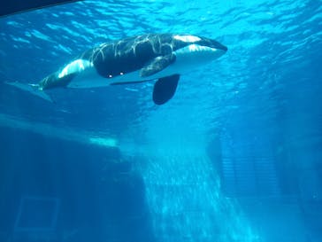 名古屋港水族館に投稿された画像（2022/5/4）