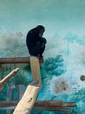 天王寺動物園に投稿された画像（2022/5/4）