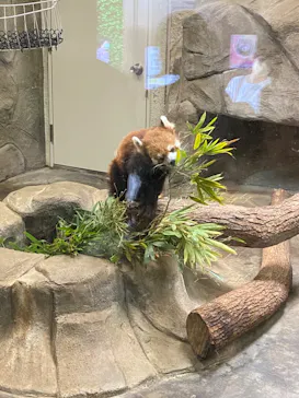 天王寺動物園に投稿された画像（2022/5/4）