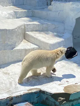 天王寺動物園に投稿された画像（2022/5/4）