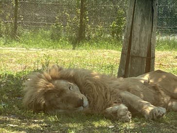 姫路セントラルパークに投稿された画像（2022/5/5）