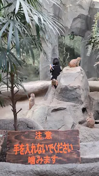 神戸どうぶつ王国に投稿された画像（2022/5/5）