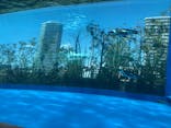 サンシャイン水族館に投稿された画像（2022/5/5）