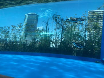 サンシャイン水族館に投稿された画像（2022/5/5）