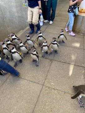 城崎マリンワールドに投稿された画像（2022/5/5）