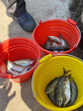 城崎マリンワールドに投稿された画像（2022/5/5）