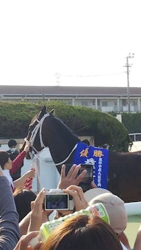園田競馬場に投稿された画像（2022/5/5）