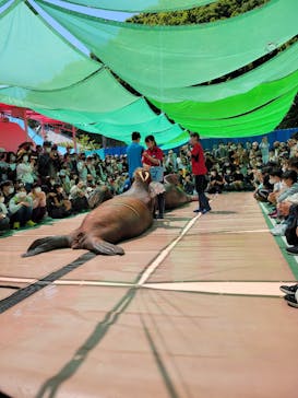 ゼロ距離水族館 伊勢シーパラダイスに投稿された画像（2022/5/5）