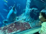 大分マリーンパレス水族館 「うみたまご」に投稿された画像（2022/5/5）