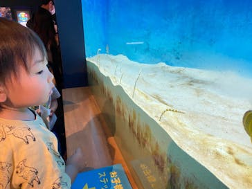 大分マリーンパレス水族館 「うみたまご」に投稿された画像（2022/5/5）