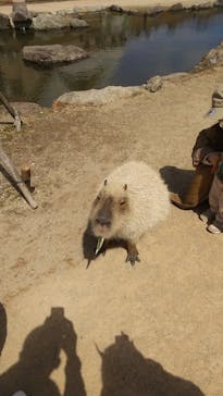 那須どうぶつ王国に投稿された画像（2022/5/5）