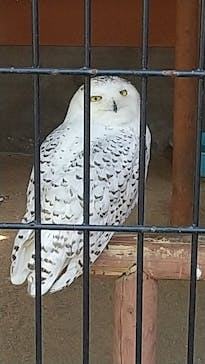 那須どうぶつ王国に投稿された画像（2022/5/5）