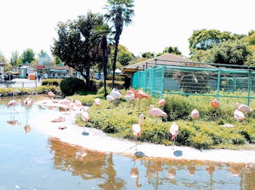 東武動物公園に投稿された画像（2022/5/5）