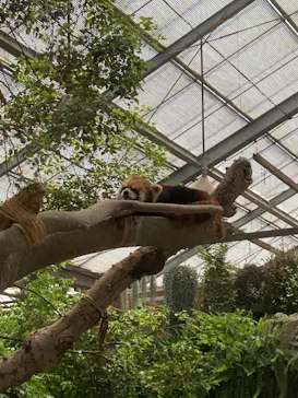 神戸どうぶつ王国に投稿された画像（2022/5/5）