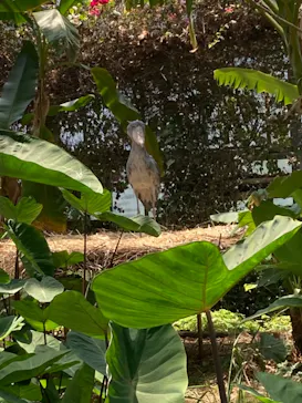 神戸どうぶつ王国に投稿された画像（2022/5/5）