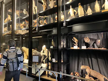 天王寺動物園に投稿された画像（2022/5/5）