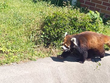 東武動物公園に投稿された画像（2022/5/5）