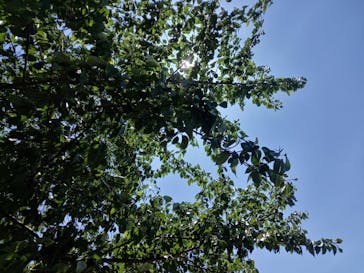 東武動物公園に投稿された画像（2022/5/5）