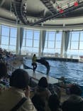 アクアワールド茨城県大洗水族館に投稿された画像（2022/5/5）