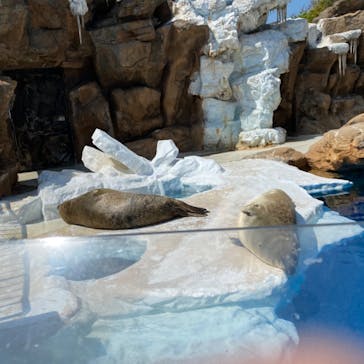 越前松島水族館に投稿された画像（2022/5/5）