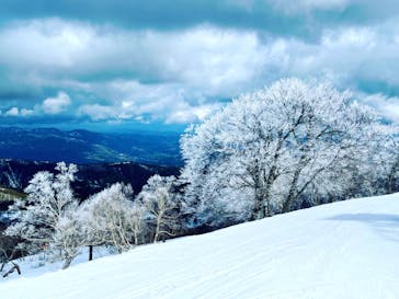 野沢温泉スキー場に投稿された画像（2022/5/5）