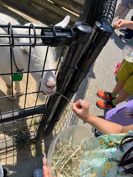 東武動物公園に投稿された画像（2022/5/5）