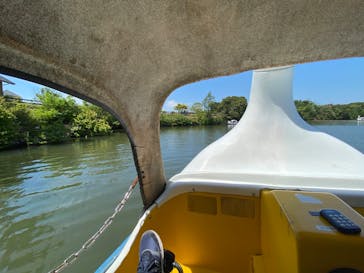 淡路ファームパーク イングランドの丘に投稿された画像（2022/5/5）