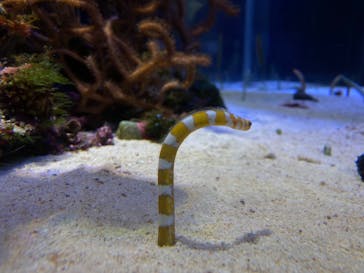 名古屋港水族館に投稿された画像（2022/5/5）