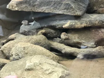 神戸どうぶつ王国に投稿された画像（2022/5/5）