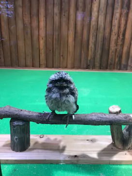 神戸どうぶつ王国に投稿された画像（2022/5/5）