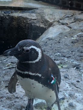 上越市立水族博物館 うみがたりに投稿された画像（2022/5/5）