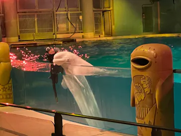 横浜・八景島シーパラダイスに投稿された画像（2022/5/5）