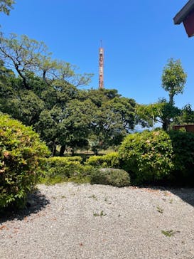 まむしの湯に投稿された画像（2022/5/5）