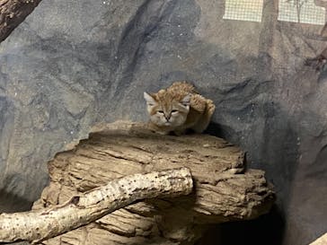 那須どうぶつ王国に投稿された画像（2022/5/5）